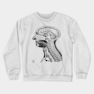 Human Head Anatomy | Medical Science Phsyiology Crewneck Sweatshirt